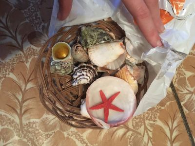 Лот: 16535192. Фото: 1. Пакет ракушек. Подарочная упаковка
