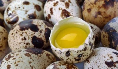 Лот: 9299746. Фото: 1. Перепелиное яйцо / Перепелиные... Мясо, птица, яйцо