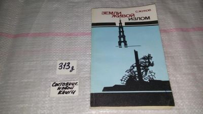 Лот: 9150973. Фото: 1. Станислав Жуков Земли живой излом... Социология