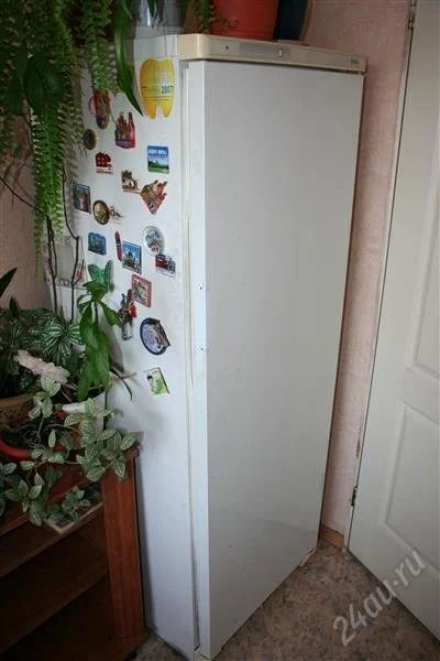 Лот: 1032706. Фото: 1. холодильник. Холодильники, морозильные камеры