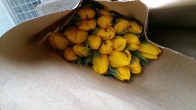Лот: 7008565. Фото: 1. Тюльпаны на 8 марта. лучший подарок. Свежие цветы