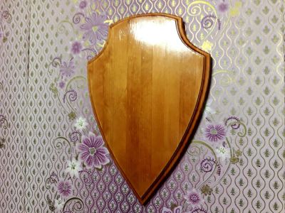 Лот: 7959473. Фото: 1. Медальон под охотничий трофей... Чучела животных, рога, шкуры