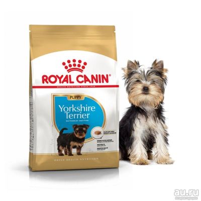 Лот: 10063969. Фото: 1. ROYAL CANIN (РОЯЛ КАНИН) Yorkshire... Корма