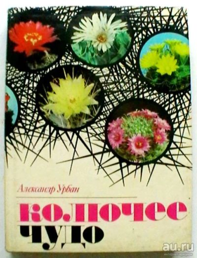 Лот: 17542175. Фото: 1. Александр Урбан "Колючее чудо... Сад, огород, цветы