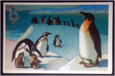 Лот: 7927228. Фото: 1. Открытка Аристов. Пингвины. 1968... Открытки, конверты