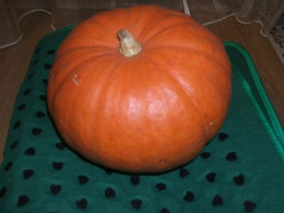 Лот: 14985323. Фото: 1. Тыква. Овощи, фрукты, зелень