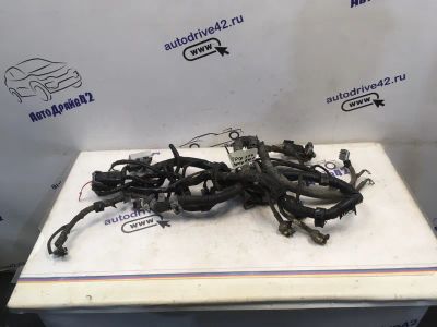 Лот: 21710221. Фото: 1. проводка двс Geely Emgrand EC7... Двигатель и элементы двигателя