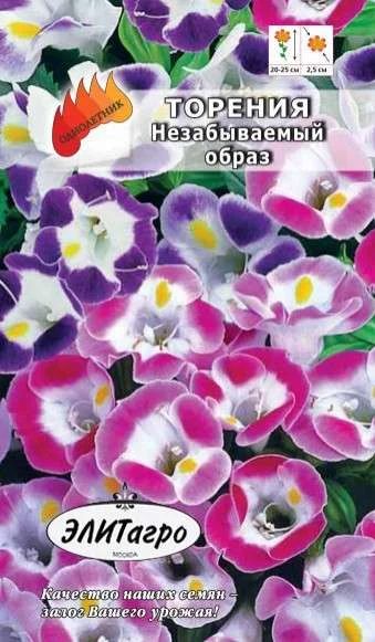 Лот: 11025593. Фото: 1. Торения Незабываемый Образ 5шт... Садовые цветы