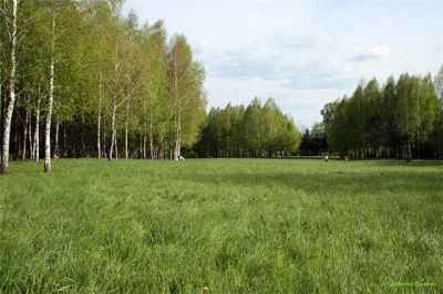 Лот: 10397015. Фото: 1. Куплю участок в рассрочку или... Земельные участки