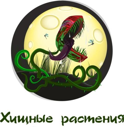 Лот: 5256682. Фото: 1. Цветок с характером! Хищные растения... Горшечные растения и комнатные цветы