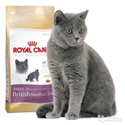 Лот: 6665074. Фото: 1. Royal Canin (Роял канин) для британских... Корма
