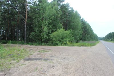 Лот: 4154615. Фото: 1. Земельный участок 8 сот. с. Арейское. Земельные участки