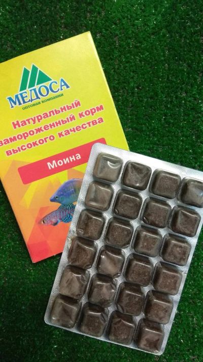 Лот: 16638533. Фото: 1. Медоса Моина замороженный корм... Корма