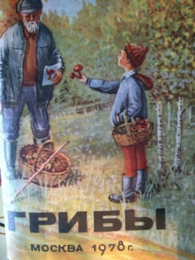 Лот: 16848444. Фото: 1. Набор открыток. Открытки, конверты
