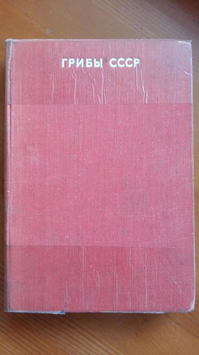 Лот: 11184884. Фото: 1. Грибы СССР, справочник. Справочники