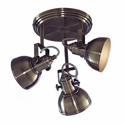 Лот: 14062934. Фото: 1. Спот Arte Lamp Martin A5213PL-3AB... Другое освещение