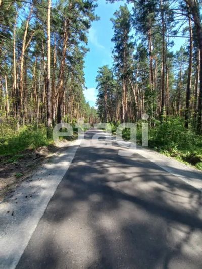 Лот: 25289647. Фото: 1. участок , ДНТ Озерки-3 ДНТ Озерки-3... Земельные участки