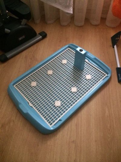 Лот: 4090375. Фото: 1. Туалет для собак со столбиком... Миски, лотки, наполнители