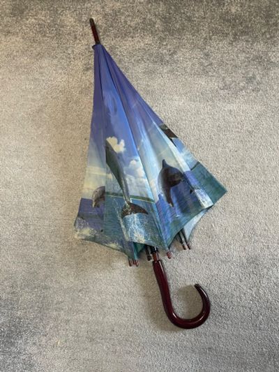 Лот: 20592775. Фото: 1. Зонт трость. Зонты