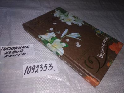 Лот: 9967805. Фото: 1. (1092353) Бегущая по волнам, Александр... Художественная