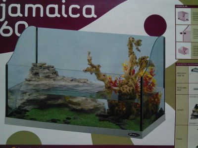 Лот: 4583723. Фото: 1. поледариум Ямайка ферпласт. Оборудование