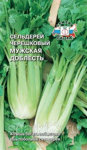 Лот: 11116468. Фото: 1. Рассада сельдерей черешковый... Пряные, лекарственные растения и зелень