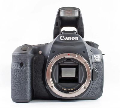 Лот: 3418744. Фото: 1. Canon 60d BODY. Цифровые зеркальные