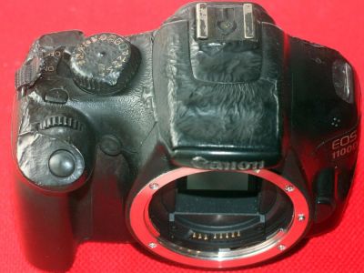 Лот: 11239876. Фото: 1. Canon EOS 1100D Body. Цифровые зеркальные