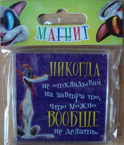 Лот: 1676133. Фото: 1. Магнит "Никогда не откладывай... Магниты сувенирные