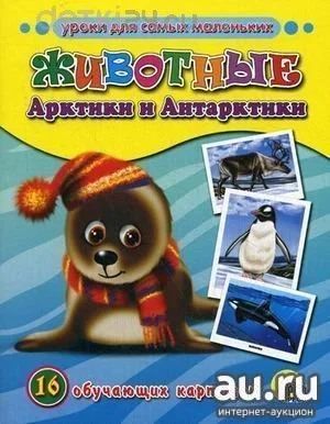 Лот: 10563969. Фото: 1. Обучающие карточки "Животные Арктики... Познавательная литература