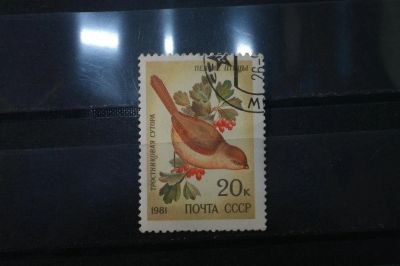 Лот: 3992111. Фото: 1. марки СССР 28 певчие птицы - Тросниковая... Марки