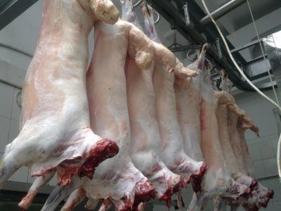 Лот: 12592077. Фото: 1. Мясо Баранина. Мясо, птица, яйцо
