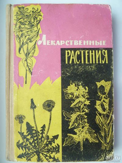 Лот: 10158500. Фото: 1. Лекарственные растения. Издательство... Популярная и народная медицина