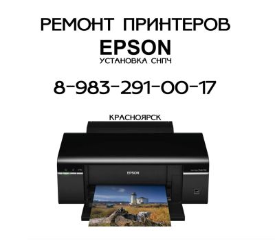 Лот: 5510556. Фото: 1. Ремонт принтеров EPSON. Другие (ремонт и настройка техники, оборудования)
