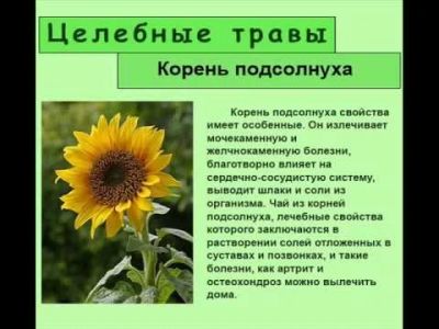 Лот: 12747381. Фото: 1. травяной чай №9. Чай, кофе, какао