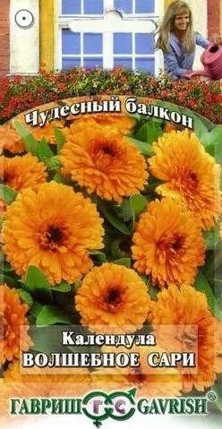 Лот: 11024336. Фото: 1. Календула Волшебное сари 0,3 г... Садовые цветы