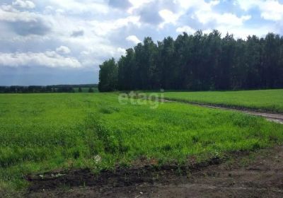 Лот: 25291687. Фото: 1. участок , СПК Солонцы СПК Солонцы... Земельные участки