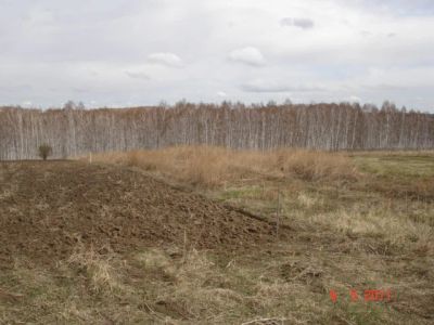 Лот: 12721321. Фото: 1. Земельный участок. Земельные участки