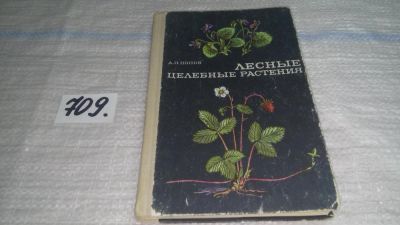 Лот: 11393186. Фото: 1. Лесные целебные растения, А.П... Популярная и народная медицина