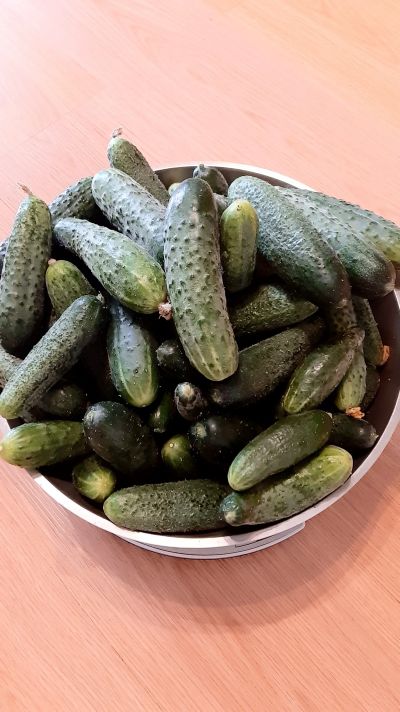 Лот: 20739090. Фото: 1. Огурцы домашние вкусные 4.5 кг. Овощи, фрукты, зелень