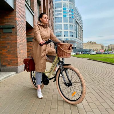 Лот: 24066361. Фото: 1. Электровелосипед Elbike Monro. Электровелосипеды