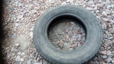 Лот: 8213845. Фото: 1. шина Amtel Planet DC 175/70 R13. Шины