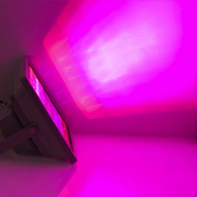 Лот: 3824807. Фото: 1. 40W Ссветодиодный прожектор для... Другое (комнатные растения и уход)