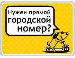 Лот: 19524922. Фото: 1. 231-2323 городской мтс номер... SIM-карты, телефонные номера
