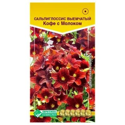 Лот: 23556975. Фото: 1. Сальпиглоссис Кофе с молоком Евросемена. Садовые цветы