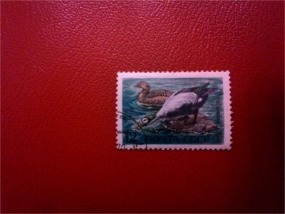 Лот: 11486448. Фото: 1. 1972, январь. Фауна. Водоплавающие... Марки
