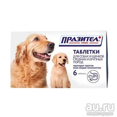 Лот: 16213811. Фото: 1. Таблетки Плюс для собак от 20кг. Косметика для животных