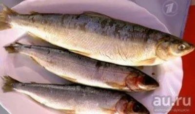 Лот: 8438123. Фото: 1. Омуль енисейский(северная рыба... Икра, рыба, морепродукты