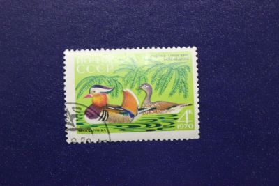 Лот: 6979675. Фото: 1. Почтовая марка №4694 в коллекцию. Марки