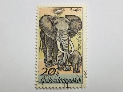 Лот: 23316429. Фото: 1. Животные. Парк дикой природы Двуркралове... Марки